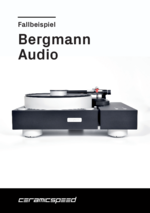 CeramicSpeed Fallbeispiel Balls Bergmann-Audio DE