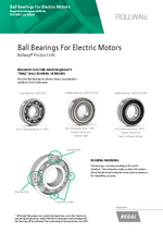 Rollway Ball Bearings For Electric Motors